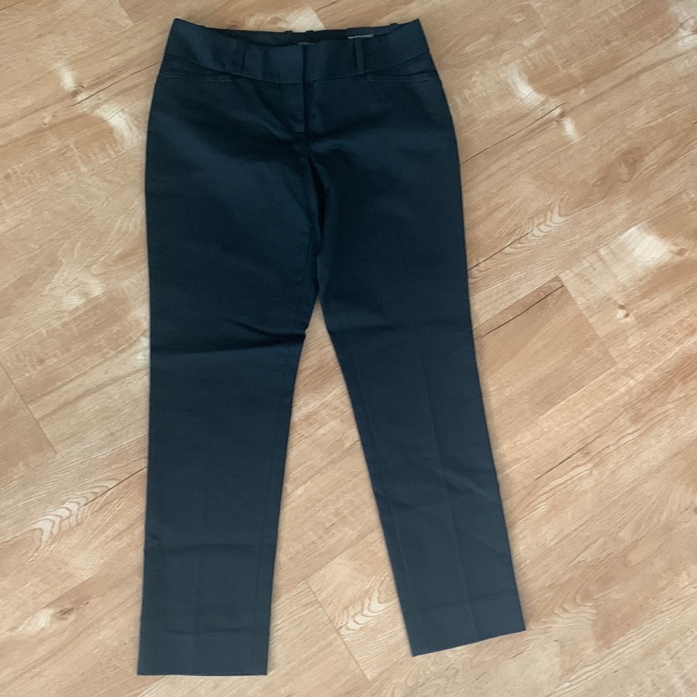 NWT The Limited pencil pant size 2